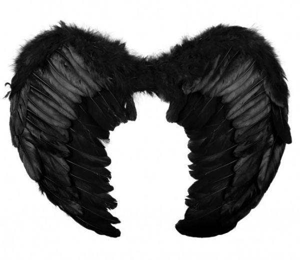 Engelenvleugels zwart